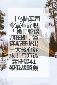 乌陆军司令宣布辞职！第二轮谈判在即，泽连斯基提出三大核心诉求！乌方透露摧毁41架俄战略轰炸机