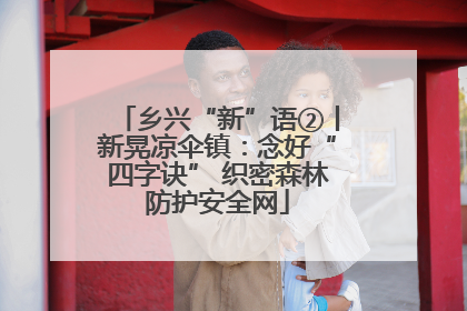 乡兴“新”语②丨新晃凉伞镇：念好“四字诀” 织密森林防护安全网