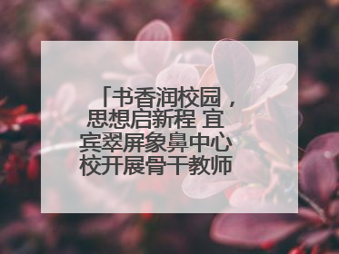 书香润校园，思想启新程 宜宾翠屏象鼻中心校开展骨干教师读书分享活动