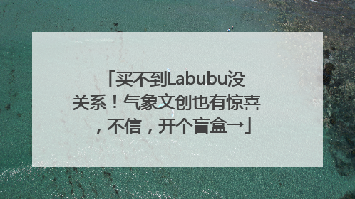 买不到Labubu没关系！气象文创也有惊喜，不信，开个盲盒→