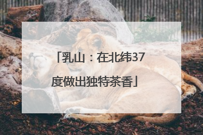 乳山：在北纬37度做出独特茶香