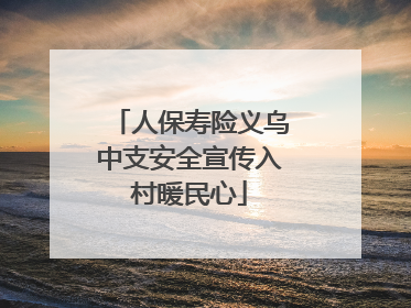 人保寿险义乌中支安全宣传入村暖民心
