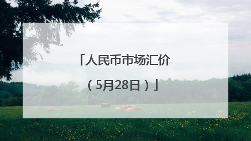 人民币市场汇价（5月28日）