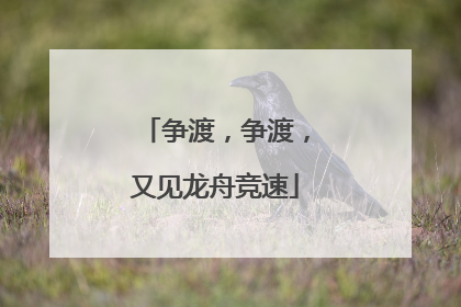 争渡，争渡，又见龙舟竞速