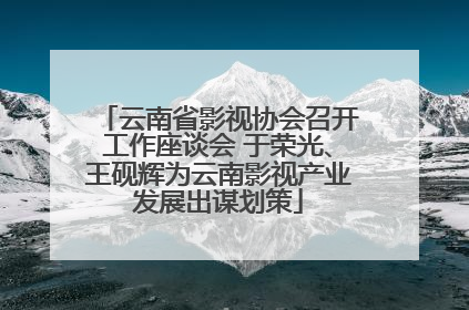 云南省影视协会召开工作座谈会 于荣光、王砚辉为云南影视产业发展出谋划策