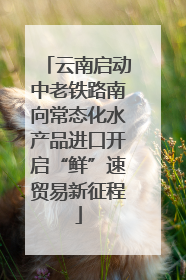 云南启动中老铁路南向常态化水产品进口开启“鲜”速贸易新征程