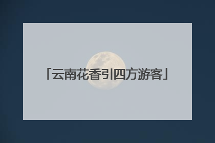 云南花香引四方游客