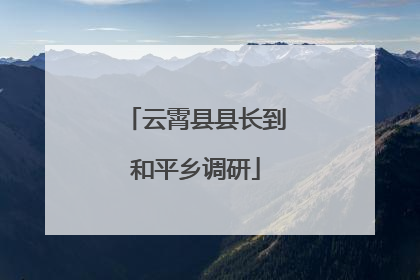 云霄县县长到和平乡调研