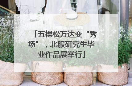 五棵松万达变“秀场”，北服研究生毕业作品展举行
