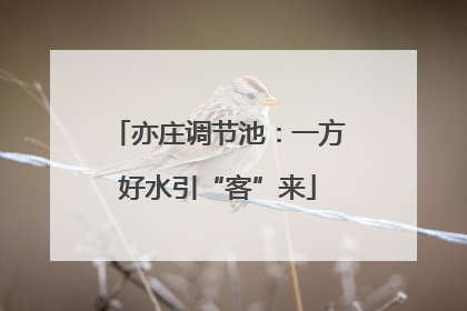 亦庄调节池：一方好水引“客”来