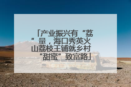 产业振兴有“荔”量，海口秀英火山荔枝王铺就乡村“甜蜜”致富路