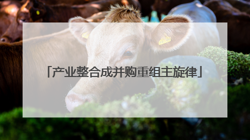 产业整合成并购重组主旋律