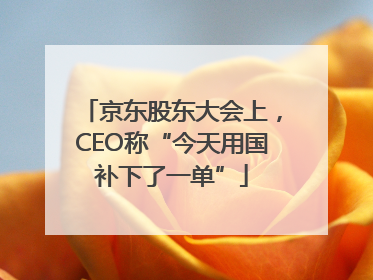 京东股东大会上，CEO称“今天用国补下了一单”