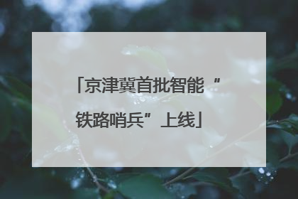 京津冀首批智能“铁路哨兵”上线