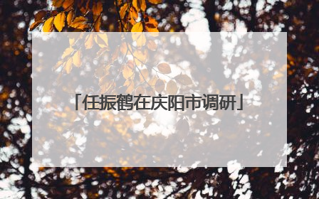 任振鹤在庆阳市调研