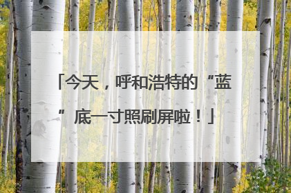 今天，呼和浩特的“蓝”底一寸照刷屏啦！