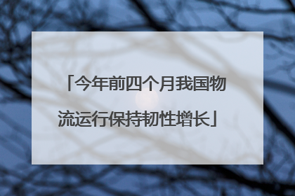 今年前四个月我国物流运行保持韧性增长