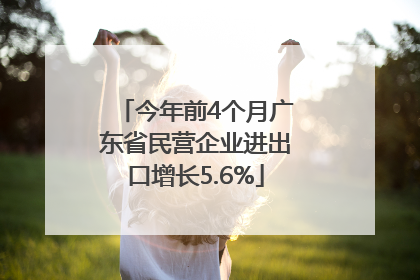 今年前4个月广东省民营企业进出口增长5.6%