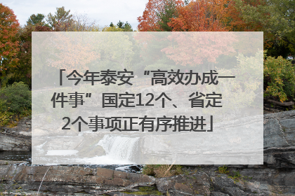 今年泰安“高效办成一件事”国定12个、省定2个事项正有序推进
