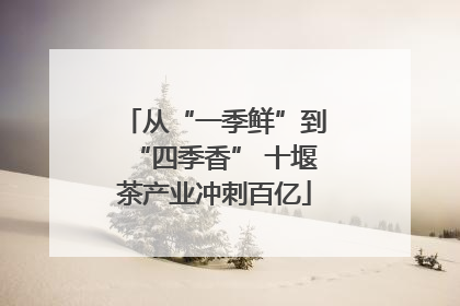 从“一季鲜”到“四季香” 十堰茶产业冲刺百亿