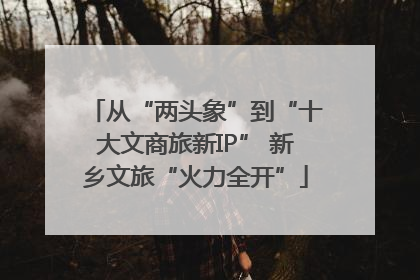 从“两头象”到“十大文商旅新IP” 新乡文旅“火力全开”