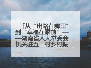 从“出路在哪里”到“幸福在眼前”——湖南省人大常委会机关驻五一村乡村振兴帮扶工作队书写振兴答卷