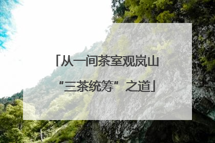 从一间茶室观岚山“三茶统筹”之道