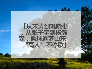 从宋涛到巩晓彬，从张子宇到杨瀚森，篮球逐梦山东“高人”不停歇