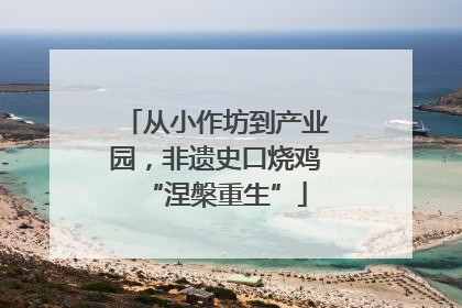 从小作坊到产业园，非遗史口烧鸡“涅槃重生”