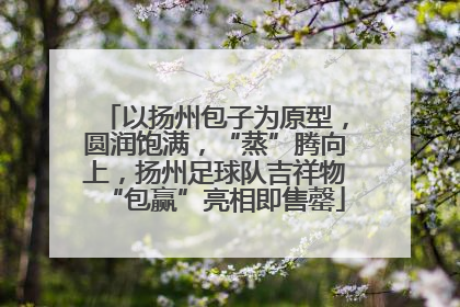 以扬州包子为原型，圆润饱满，“蒸”腾向上，扬州足球队吉祥物“包赢”亮相即售罄