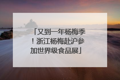又到一年杨梅季！浙江杨梅赴沪参加世界级食品展