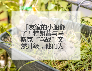 友谊的小船翻了！特朗普与马斯克“骂战”突然升级，他们为何而吵？