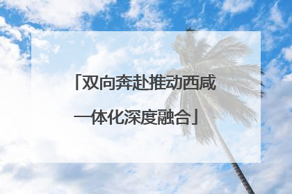 双向奔赴推动西咸一体化深度融合