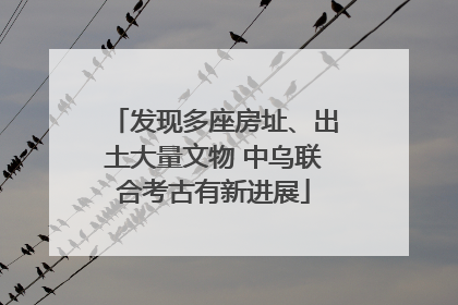 发现多座房址、出土大量文物 中乌联合考古有新进展