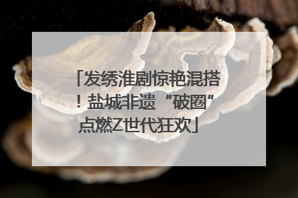 发绣淮剧惊艳混搭！盐城非遗“破圈”点燃Z世代狂欢