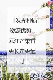 发挥种质资源优势，元江芒果香更长走更远
