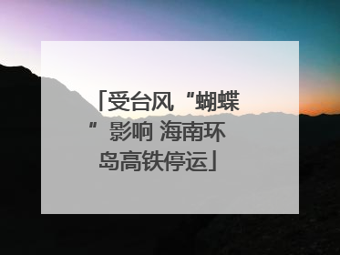 受台风“蝴蝶”影响 海南环岛高铁停运