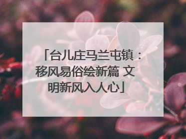 台儿庄马兰屯镇：移风易俗绘新篇 文明新风入人心