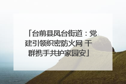 台前县凤台街道：党建引领织密防火网 干群携手共护家园安