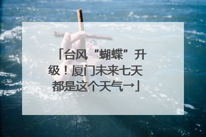 台风“蝴蝶”升级！厦门未来七天都是这个天气→