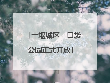 十堰城区一口袋公园正式开放