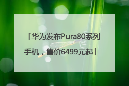 华为发布Pura80系列手机，售价6499元起