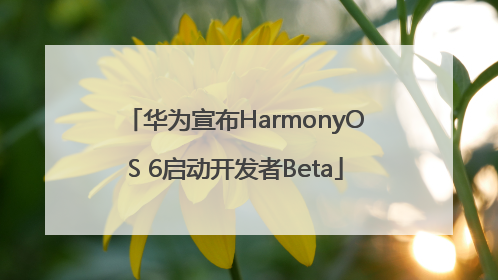 华为宣布HarmonyOS 6启动开发者Beta