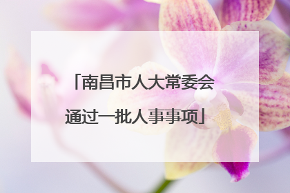 南昌市人大常委会通过一批人事事项