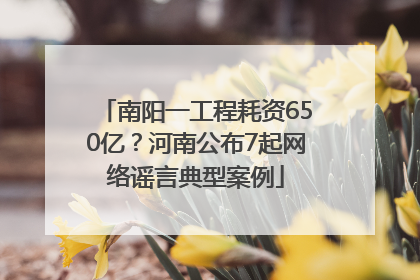 南阳一工程耗资650亿？河南公布7起网络谣言典型案例