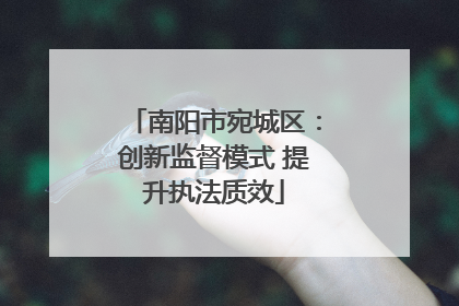 南阳市宛城区：创新监督模式 提升执法质效