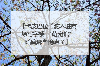 卡皮巴拉羊驼入驻商场写字楼 “萌宠馆”暗藏哪些隐患？