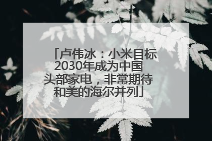 卢伟冰：小米目标2030年成为中国头部家电，非常期待和美的海尔并列