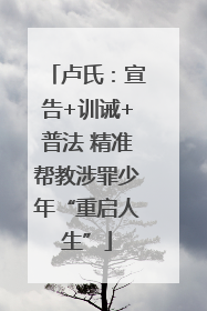 卢氏：宣告+训诫+普法 精准帮教涉罪少年“重启人生”