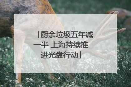 厨余垃圾五年减一半 上海持续推进光盘行动